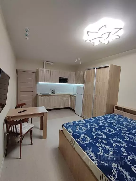 Студия Санкт-Петербург наб. Реки Каменки, 15к1 (22.6 м) - Фото 1