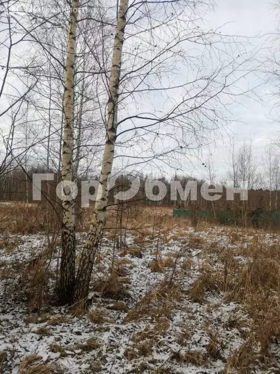 Участок в Талдомский городской округ, деревня Лебзино (15 м) - Фото 2