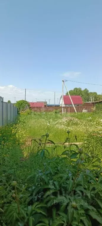 Участок в Алтайский край, Первомайский район, с. Санниково, Огородник ... - Фото 2