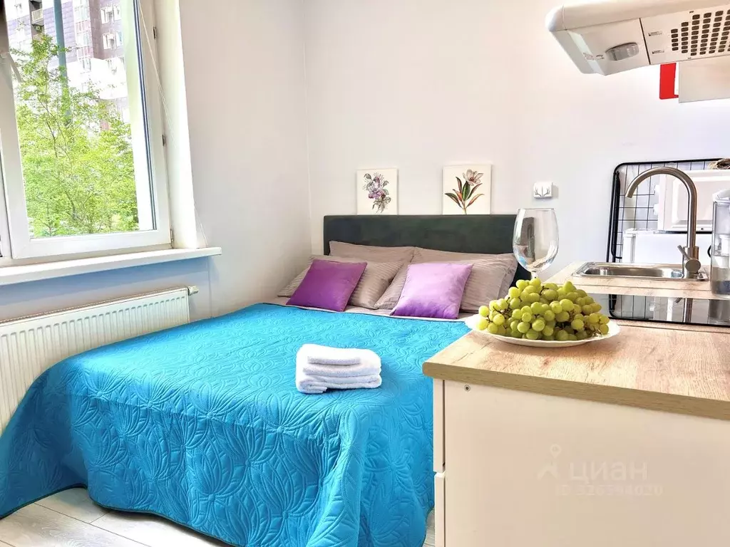 Студия Московская область, Одинцово ул. Белорусская, 10 (14.0 м) - Фото 1