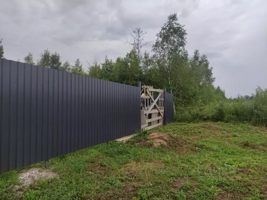 Участок в Владимирская область, Карабаново г. Александровский ... - Фото 2