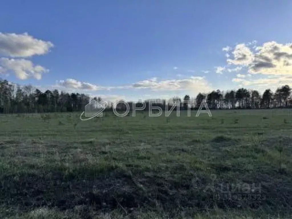 Участок в Тюменская область, Тюменский район, д. Елань  (7.0 сот.) - Фото 0