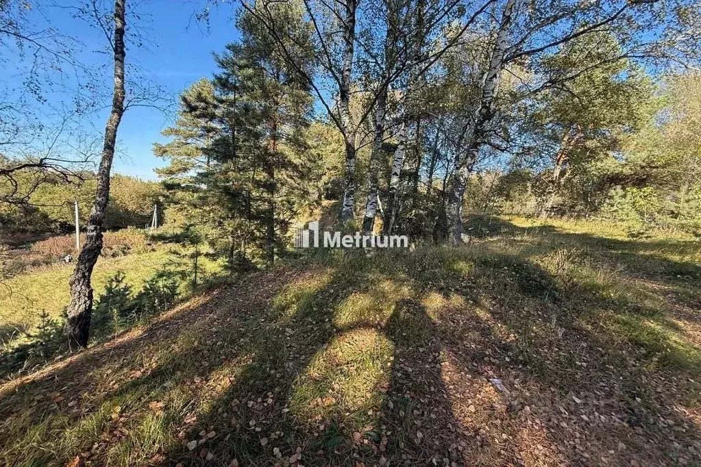 Участок в Московская область, Истра муниципальный округ, д. Лешково  ... - Фото 1
