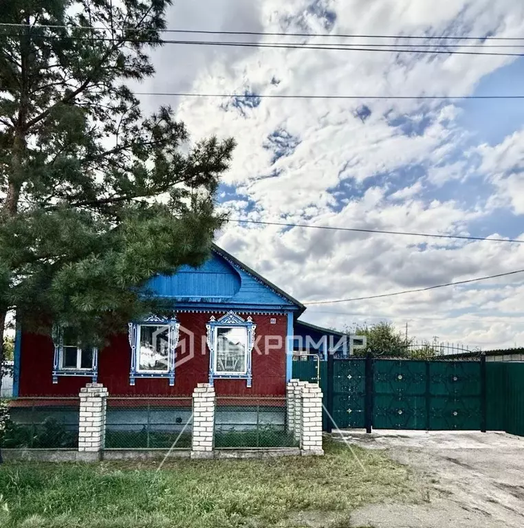 Дом в Челябинская область, Троицк ул. Имени Н.Д. Веденеева, 61 (54 м) - Фото 0