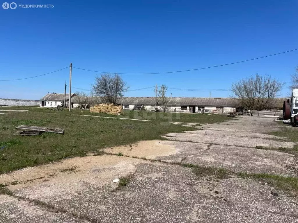 Производственное помещение (1000 м) - Фото 1