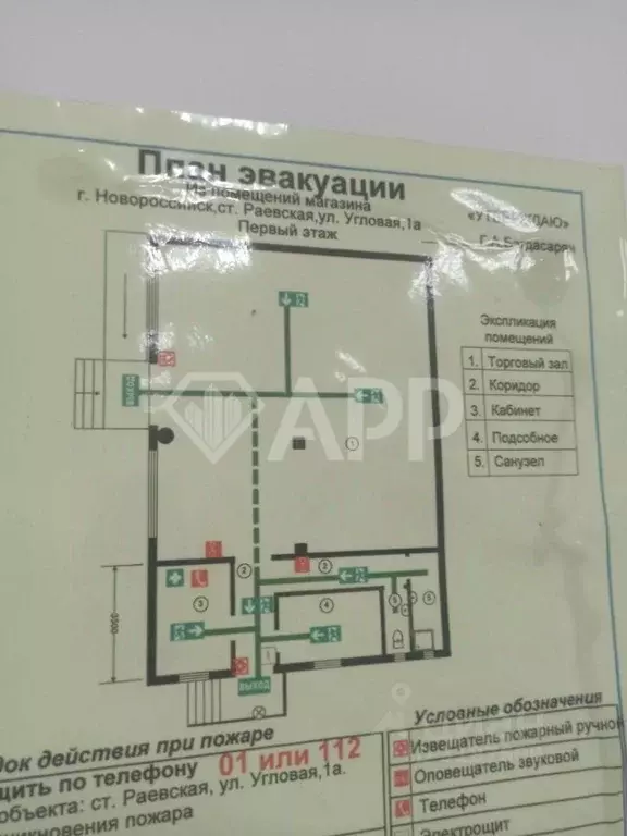 Торговая площадь в Краснодарский край, Новороссийск городской округ, ... - Фото 2