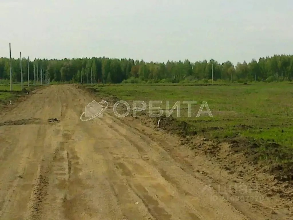 Участок в Тюменская область, Тюменский район, с. Горьковка Сибирская ... - Фото 0