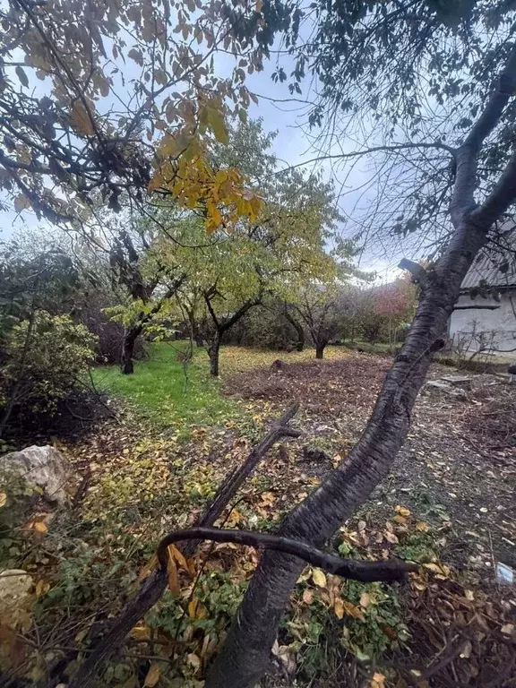 Участок в Крым, Симферополь ул. 24-я Коллективных Садов, 278 (4.0 ... - Фото 2