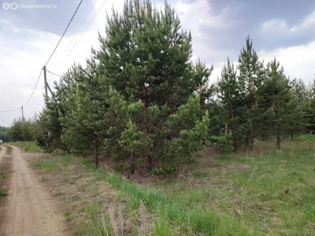 Участок в Челябинская область, Красноармейский муниципальный округ, ... - Фото 0