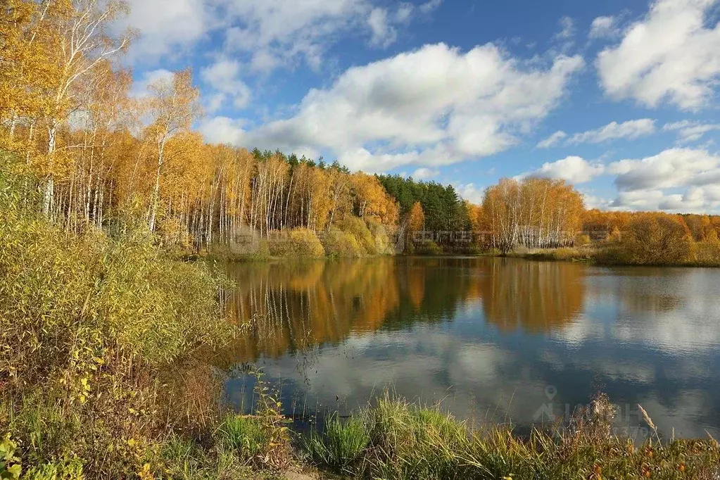 Участок в Татарстан, Зеленодольский район, Большекургузинское с/пос, ... - Фото 2