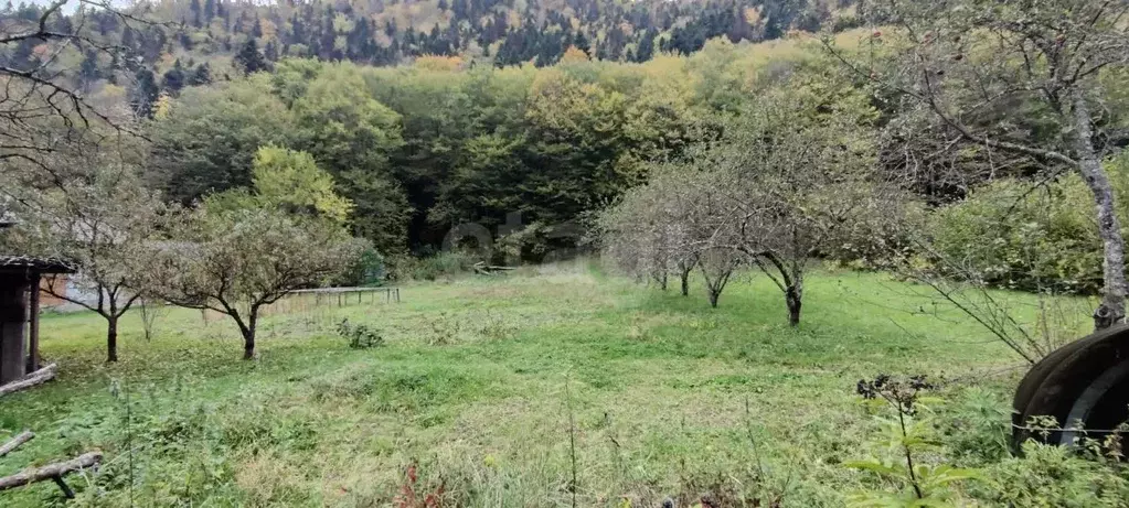 Участок в Адыгея, Майкопский район, Даховское с/пос, пос. Гузерипль ... - Фото 1