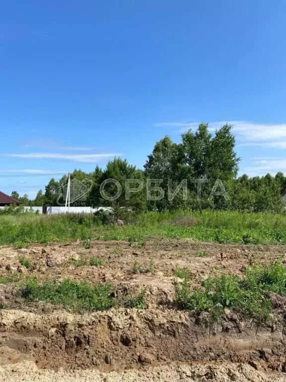 Участок в Тюменская область, Нижнетавдинский район, Березка СНТ  (7.0 ... - Фото 1