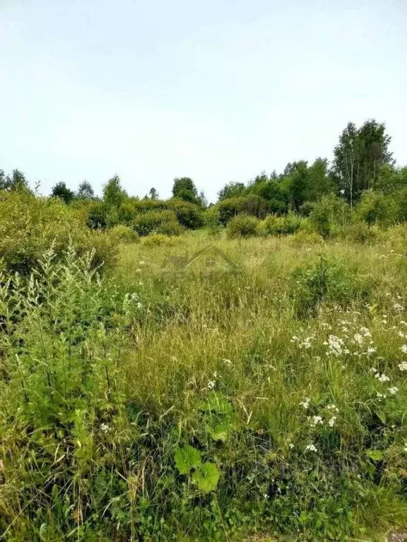 Участок в Новгородская область, Старая Русса ул. Береговая, 2 (12.0 ... - Фото 2