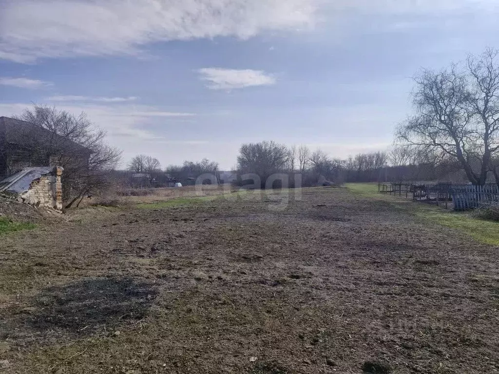 Участок в Белгородская область, Волоконовский район, Староивановское ... - Фото 2