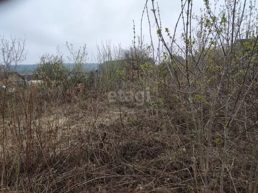 Участок в Свердловская область, Верх-Нейвинский пгт ул. Ленина (10.3 ... - Фото 1