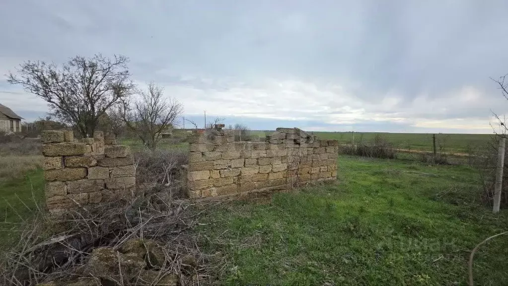 Участок в Крым, Сакский район, Лесновское с/пос, Дружба СНТ  (5.6 ... - Фото 2