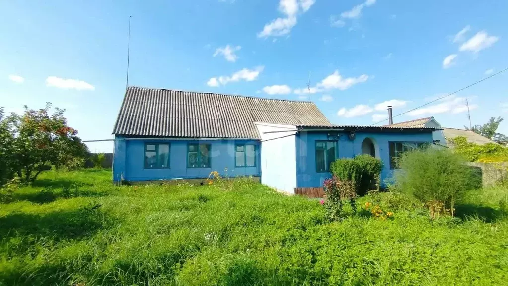 Дом в Брянская область, Брасовское с/пос, с. Брасово ул. Октябрьская ... - Фото 1