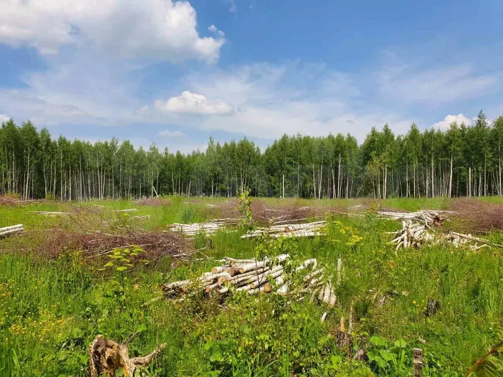 Авито Купить Земельный Участок Нижегородская Область