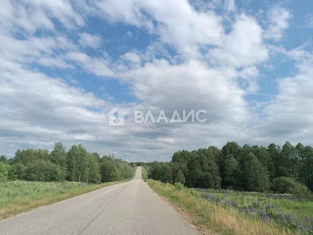 Участок в Владимирская область, Судогодский район, Лавровское ... - Фото 0