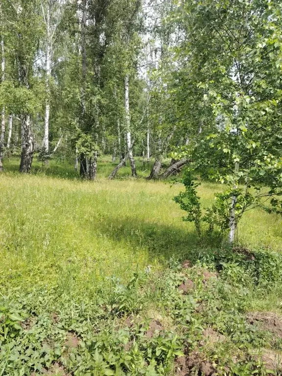 Участок в Челябинская область, Чебаркульский муниципальный округ, ... - Фото 2