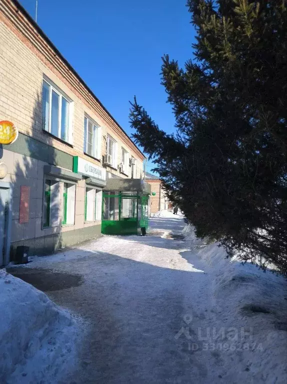 Помещение свободного назначения в Новосибирская область, с. Кочки ул. ... - Фото 2
