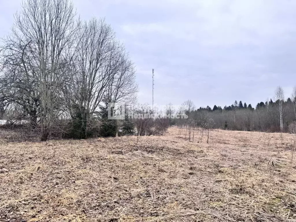 Участок в Ленинградская область, Гатчинский муниципальный округ, д. ... - Фото 1