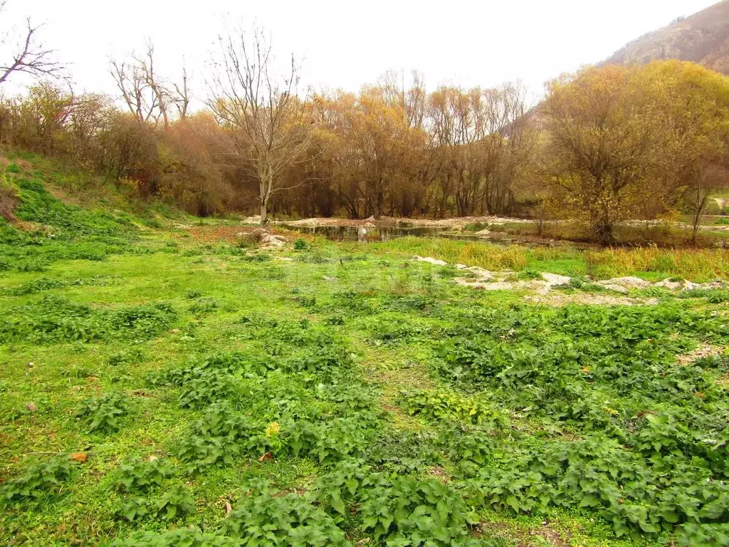 Участок в Ставропольский край, Предгорный муниципальный округ, с. Юца ... - Фото 1