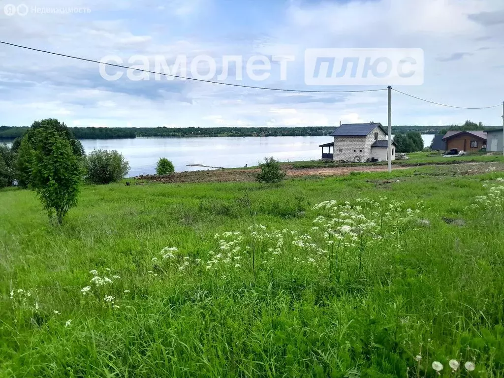 Участок в Вологодская область, Шекснинский муниципальный округ, ... - Фото 1