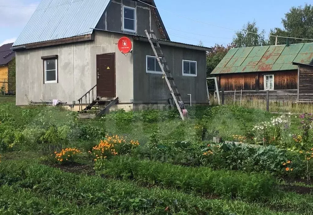 Купить Дом В Белозерске Вологодской Области