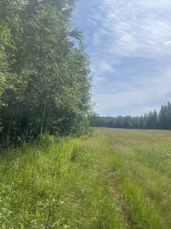 Участок в Ленинградская область, Приозерский район, Мельниковское ... - Фото 0