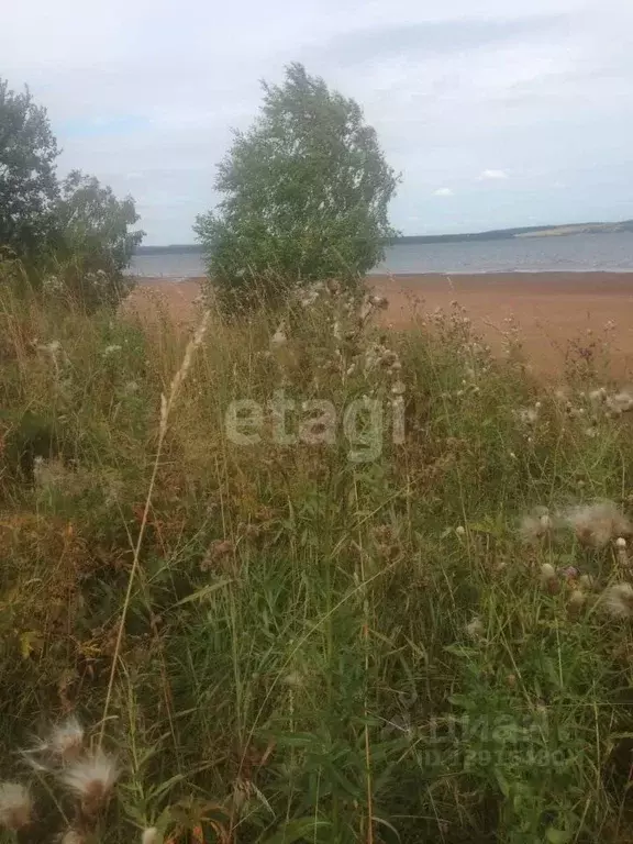 Участок в Пермский край, Ильинский городской округ, д. Калинята  (17.8 ... - Фото 1