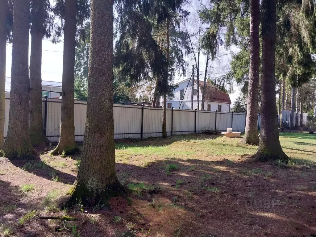 Участок в Ленинградская область, Всеволожск Николаевская ул., 63 (23.1 ... - Фото 2