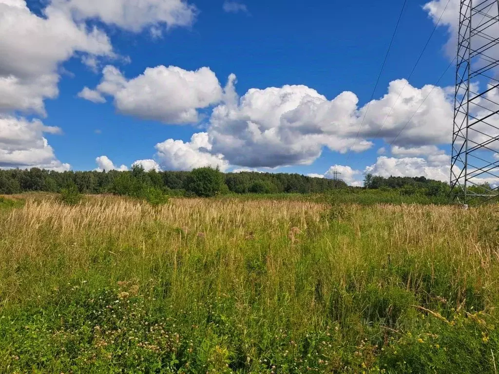 Участок в Московская область, Солнечногорск городской округ, ... - Фото 1
