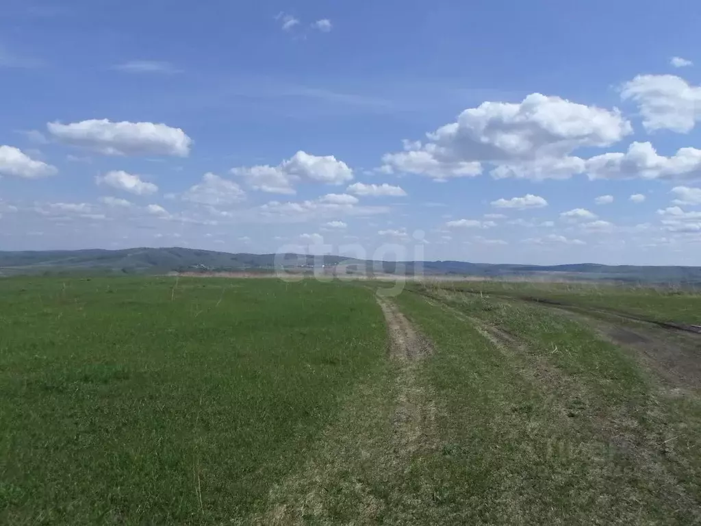 Участок в Красноярский край, Красноярск городской округ, Березовка ... - Фото 1