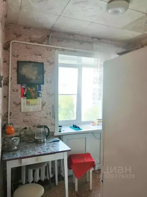 2-к кв. Курганская область, Курган ул. Карла Маркса, 46 (41.2 м) - Фото 2