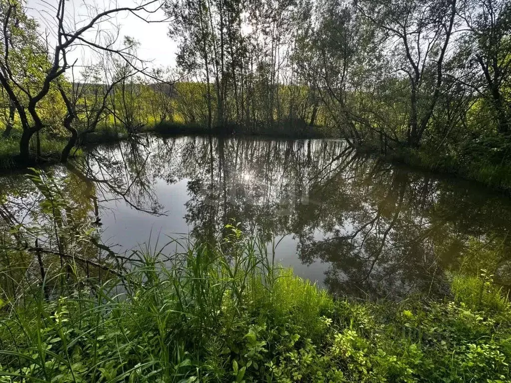 Участок в Амурская область, Благовещенск Светлана СТ,  (10.0 сот.) - Фото 1