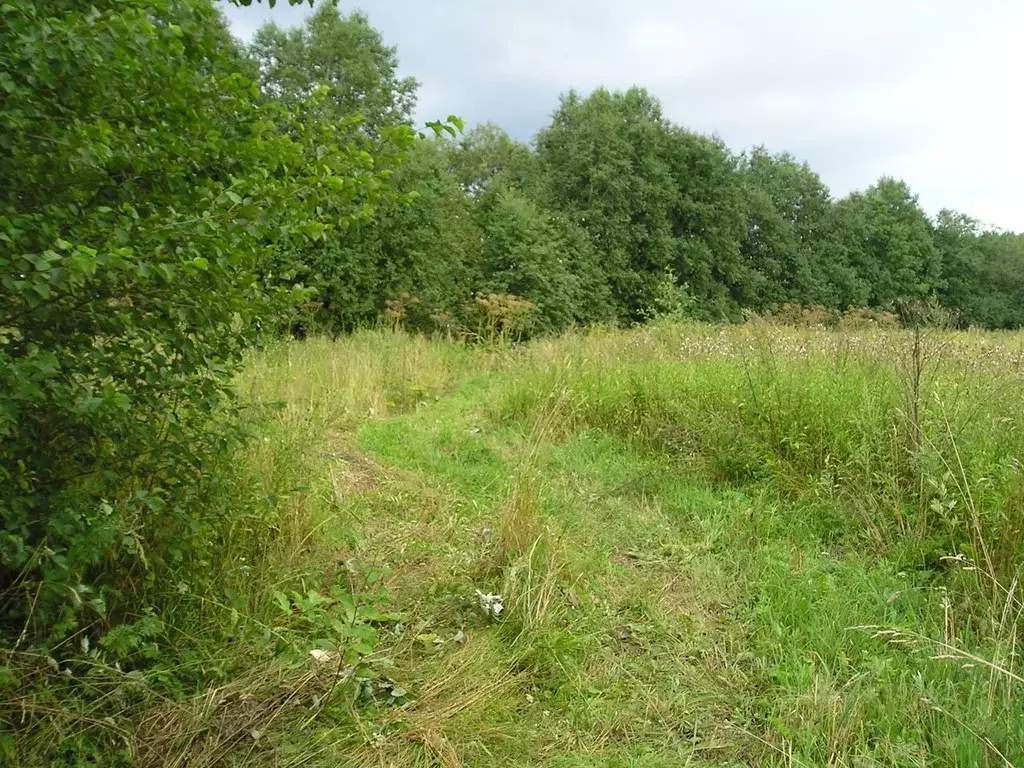 Участок в Ленинградская область, Лужский район, Оредежское с/пос, д. ... - Фото 2