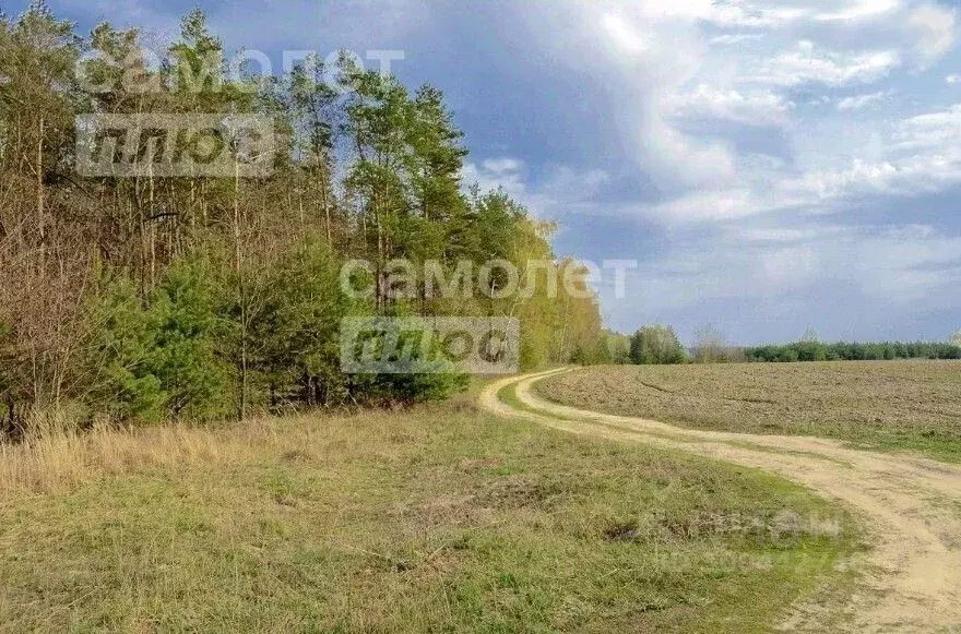 Участок в Коми, Сыктывдинский район, Пажга муниципальное образование, ... - Фото 0