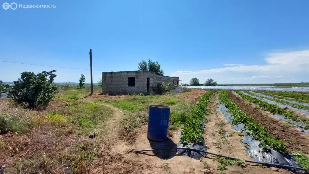 Участок в станица Голубицкая, улица Жеребцовой (1.4 м) - Фото 1