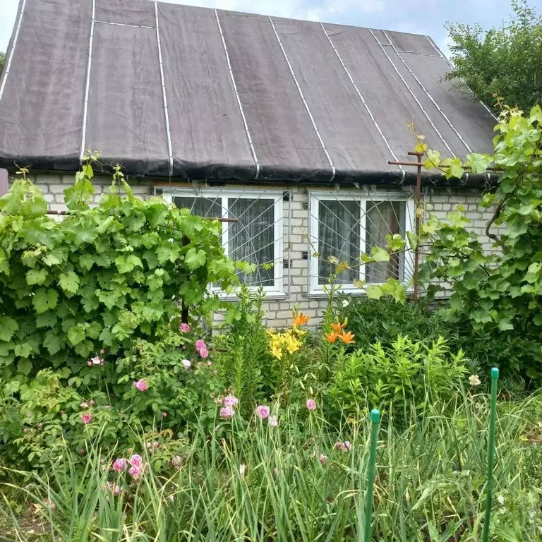 Дом в Ульяновская область, Ульяновск Свияга СНТ, 241 (30 м) - Фото 1