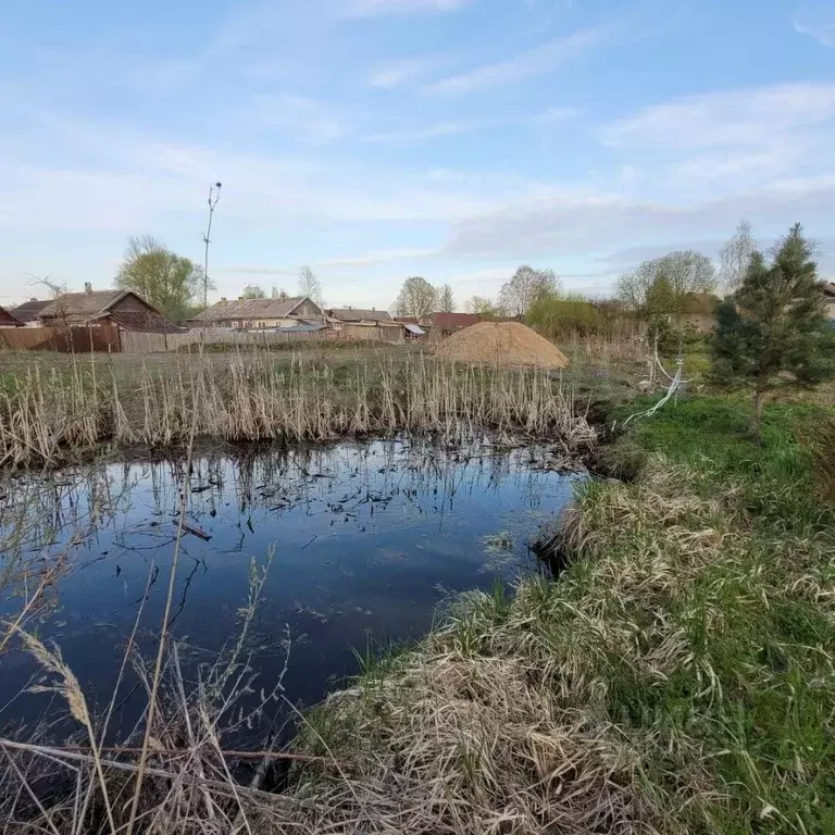 Участок в Новгородская область, Боровичи Перевалка мест., 17 (14.1 ... - Фото 1