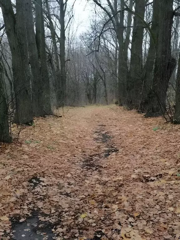 Участок в Тульская область, Ясногорский район, Иваньковское с/пос, с. ... - Фото 2
