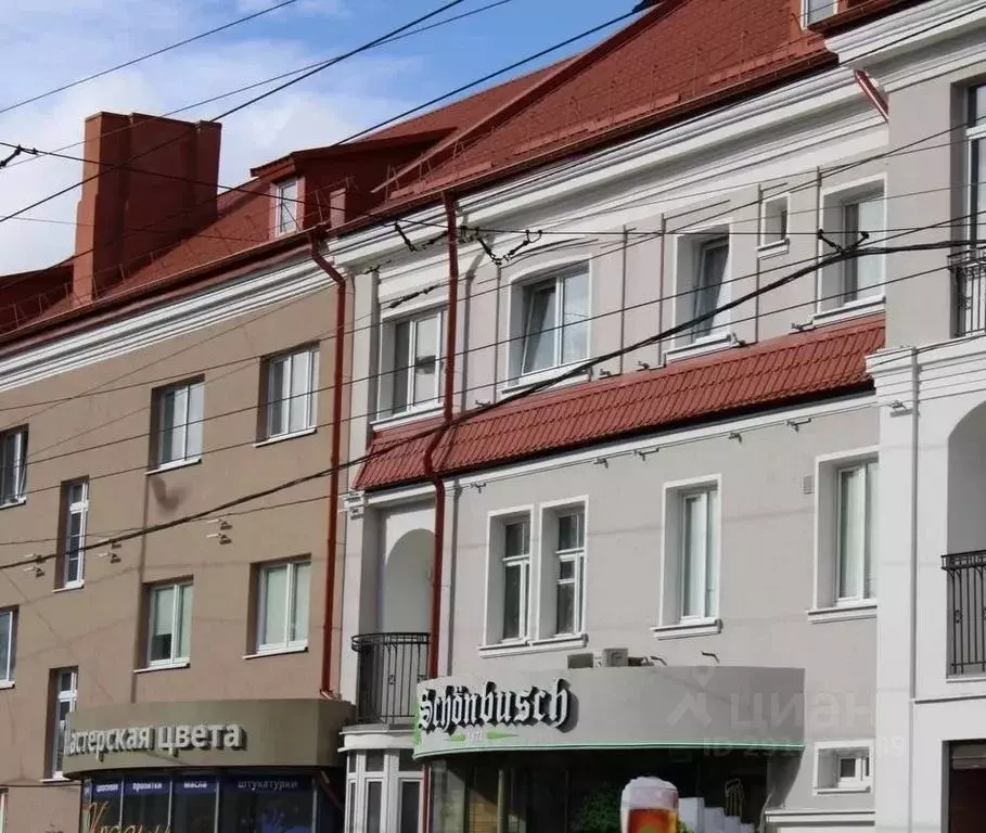 Студия Калининградская область, Калининград просп. Мира, 116 (30.0 м) - Фото 2