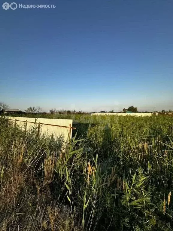 Участок в Ростовская область, Батайск (5.1 м) - Фото 2