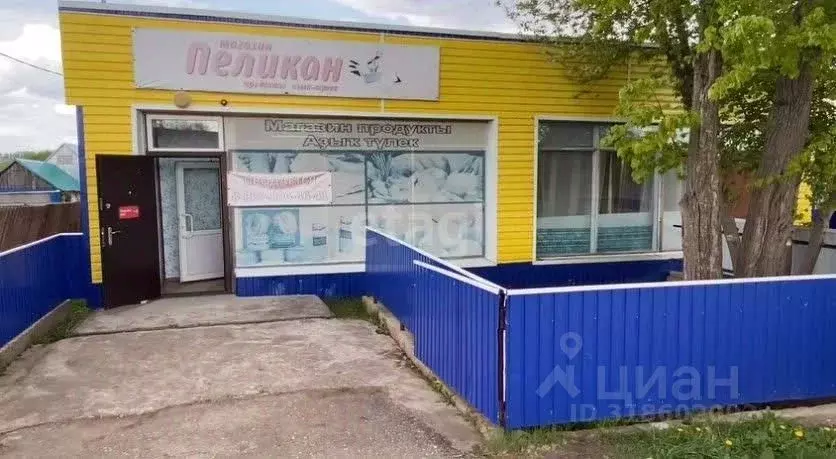 Торговая площадь в Башкортостан, Давлекановский район, д. Сергиополь ... - Фото 1