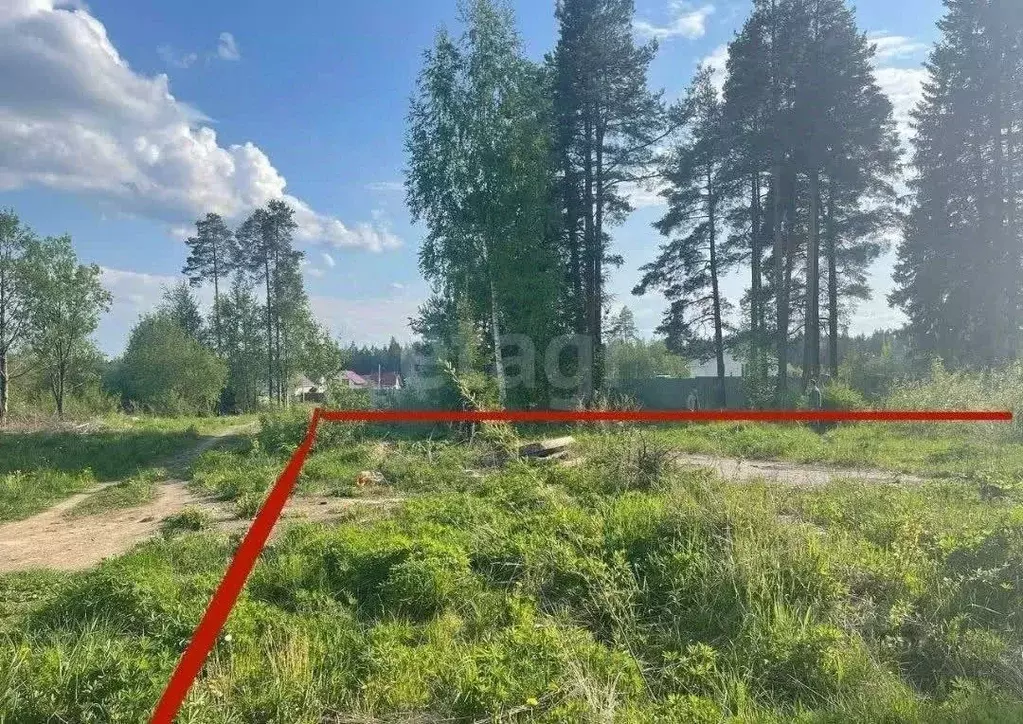 Участок в Ленинградская область, Сертолово Всеволожский район, Черная ... - Фото 2