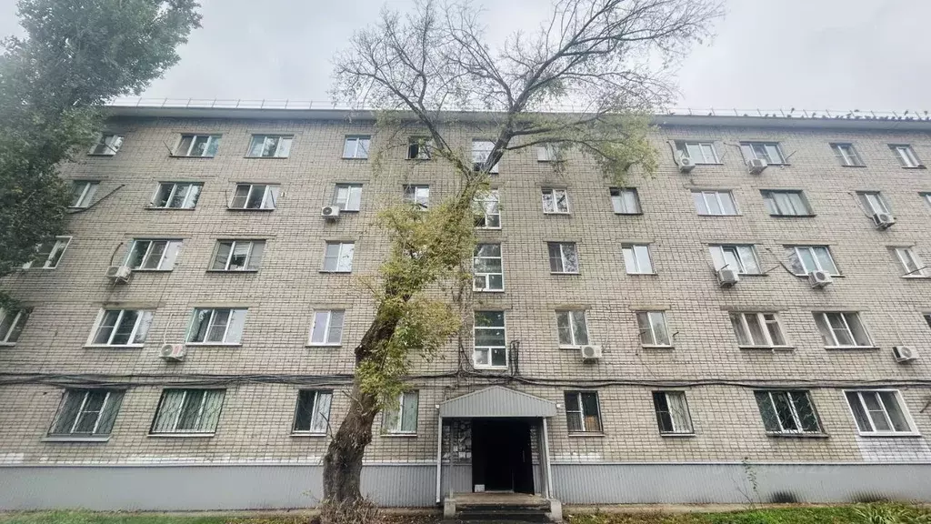 1-к кв. Липецкая область, Липецк Левобережная ул., 1Б (18.3 м) - Фото 1