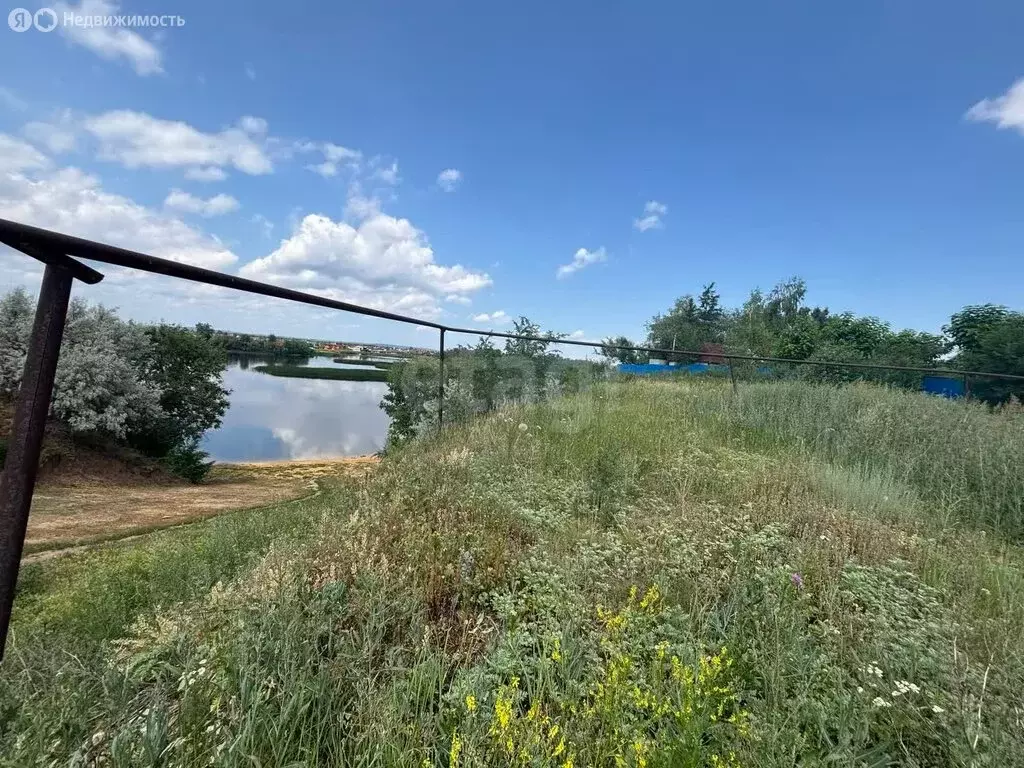 Участок в Энгельс, ДНТ Орфей (1564 м) - Фото 1