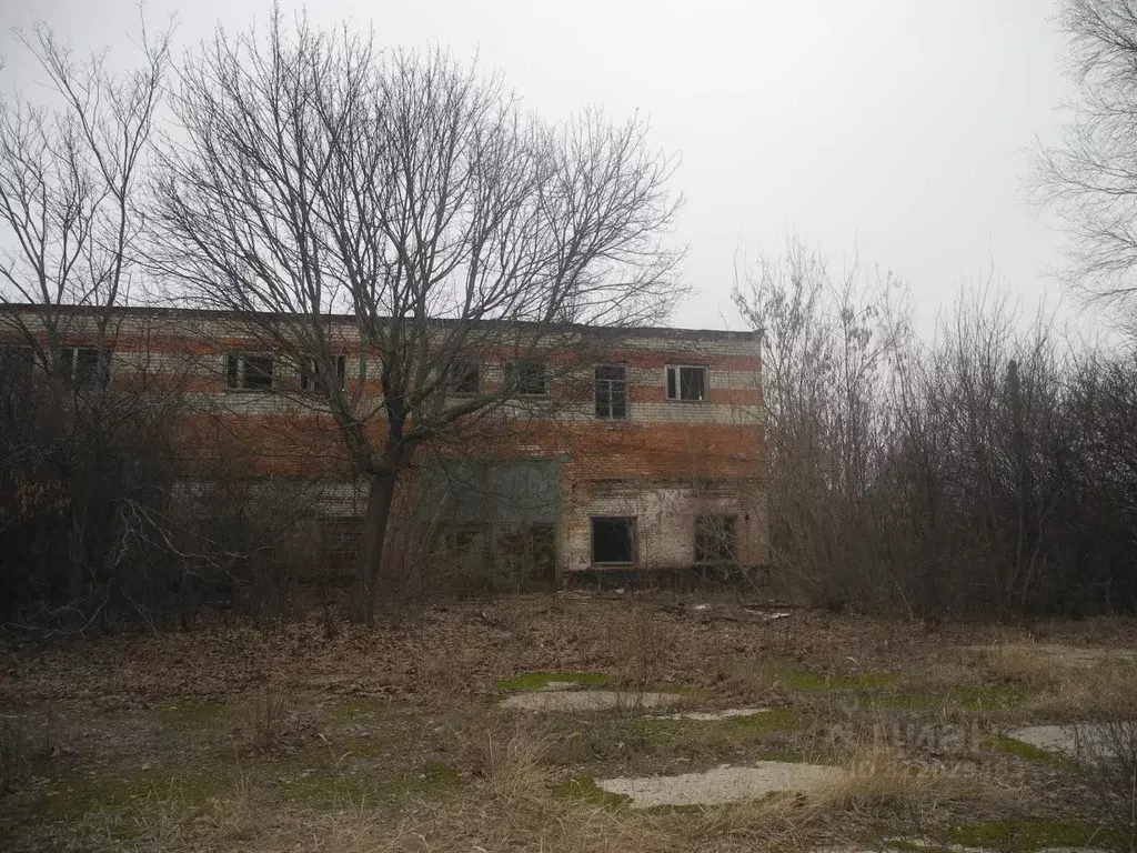 Производственное помещение в Белгородская область, Прохоровский район, ... - Фото 2