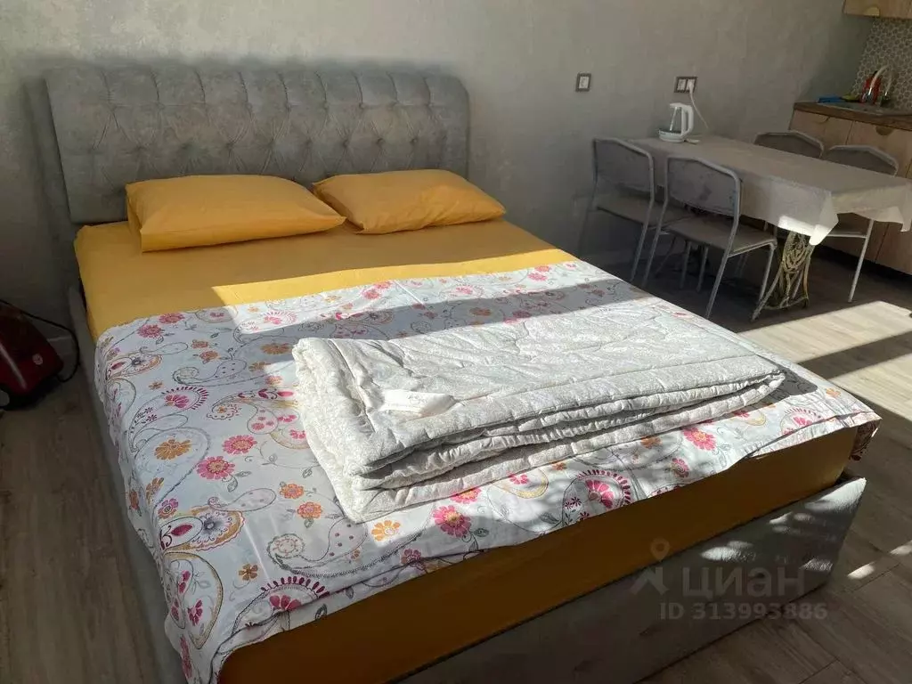 Студия Татарстан, Казань ул. Адоратского, 1Б (28.0 м) - Фото 0